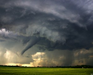 wallpaper_storm_animaatjes-24