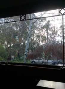 4a189d13-2b01-49f9-9c1a-1ed89beff207